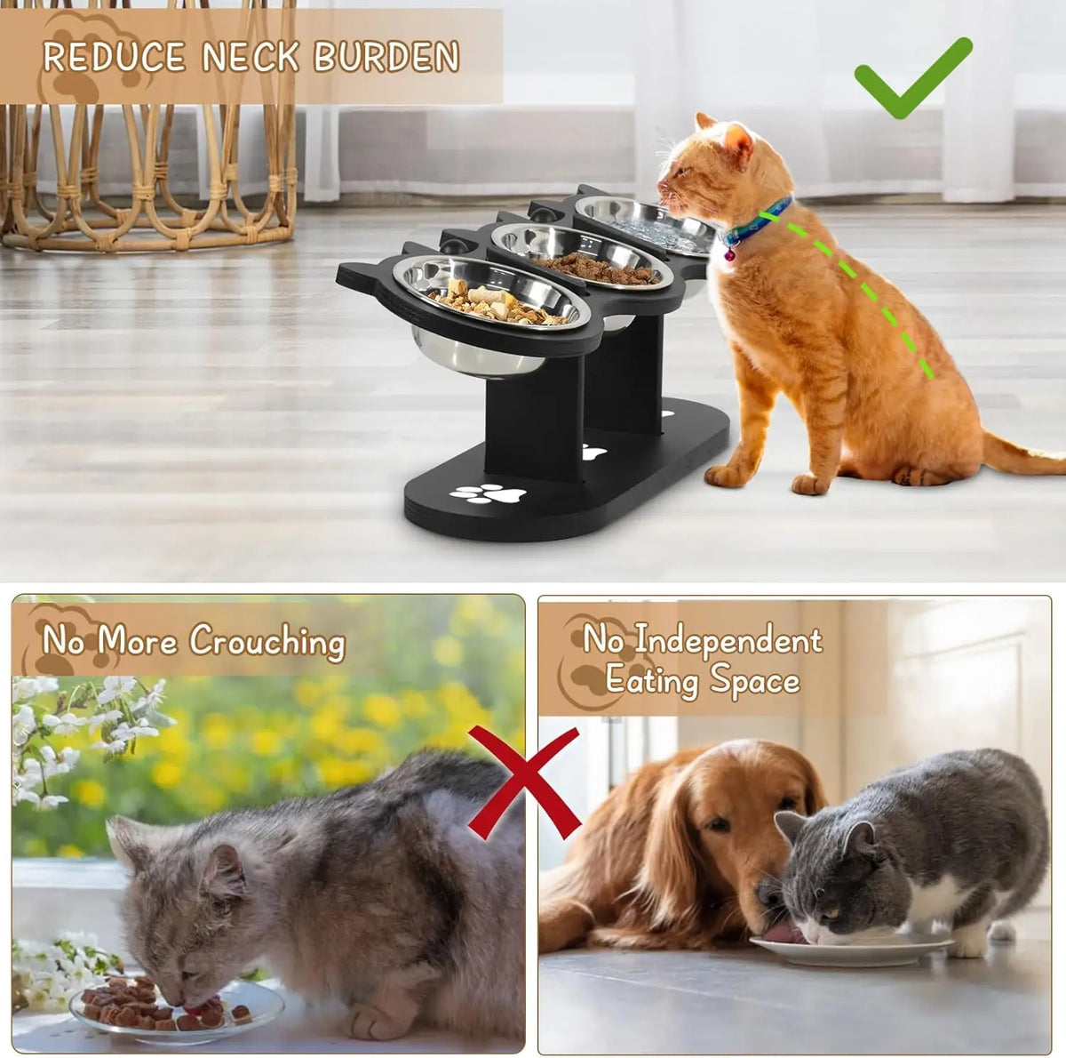 Cat eating from an elevated triple bowl stand to improve posture and reduce neck strain