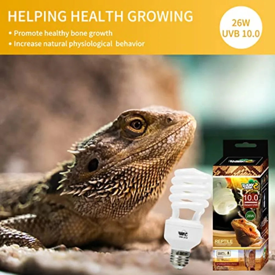 26W Desert Reptile UVA/UVB 10.0 compact fluorescent light bulb next to a bearded dragon