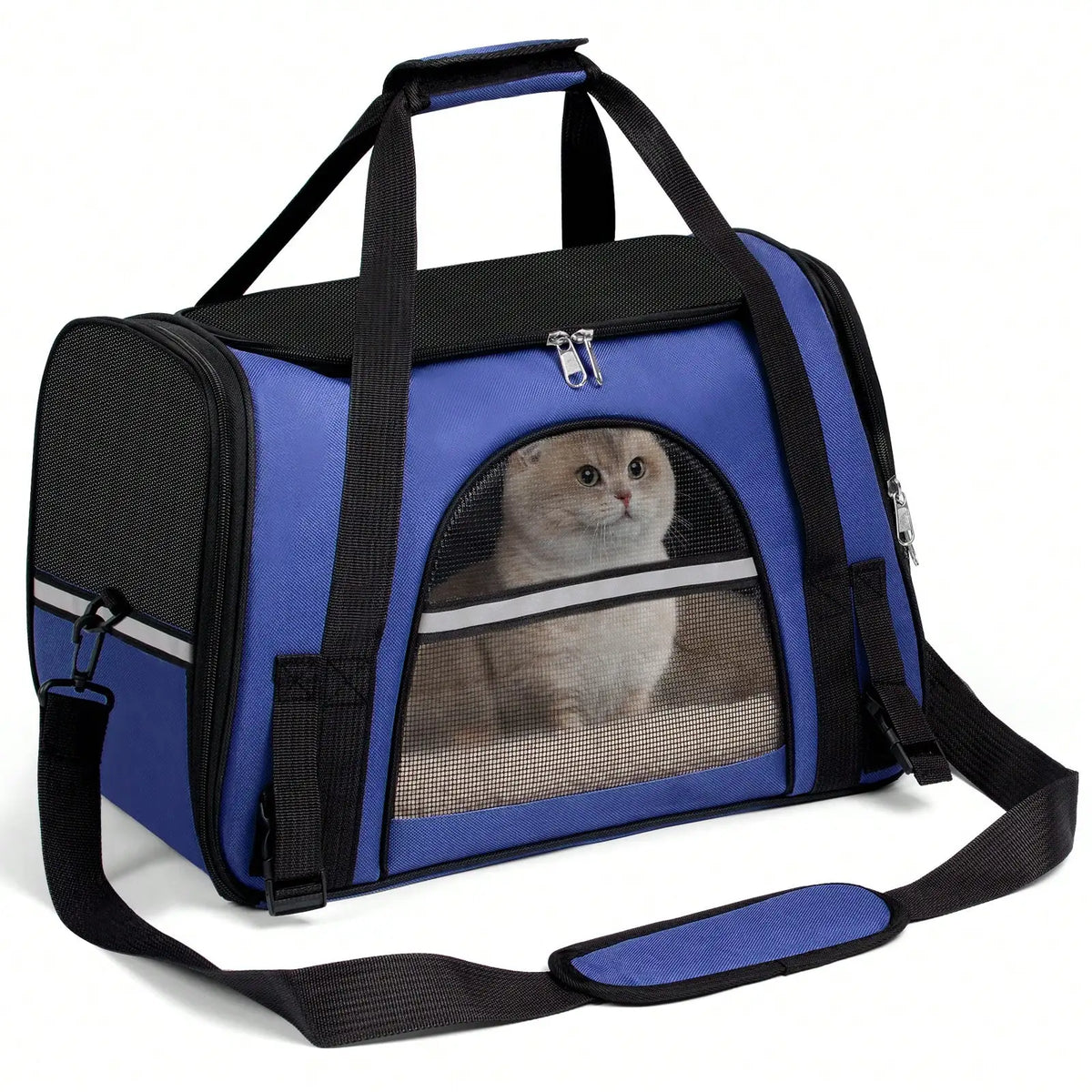 Blue pet carrier with mesh windows and a cat inside