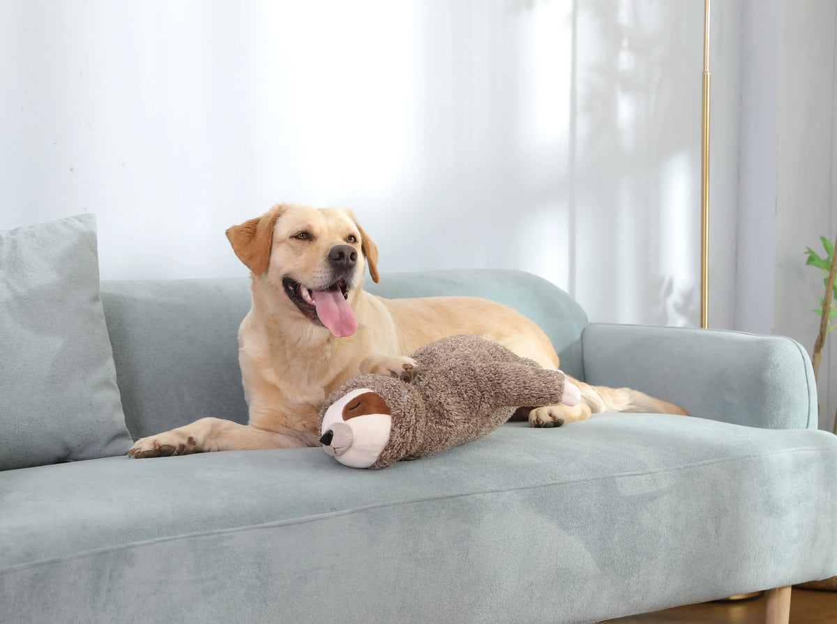 Heartbeat Sloth Plush Dog Toy for Puppies & Small Dogs – Comfort Companion for Sleep & Crate Training