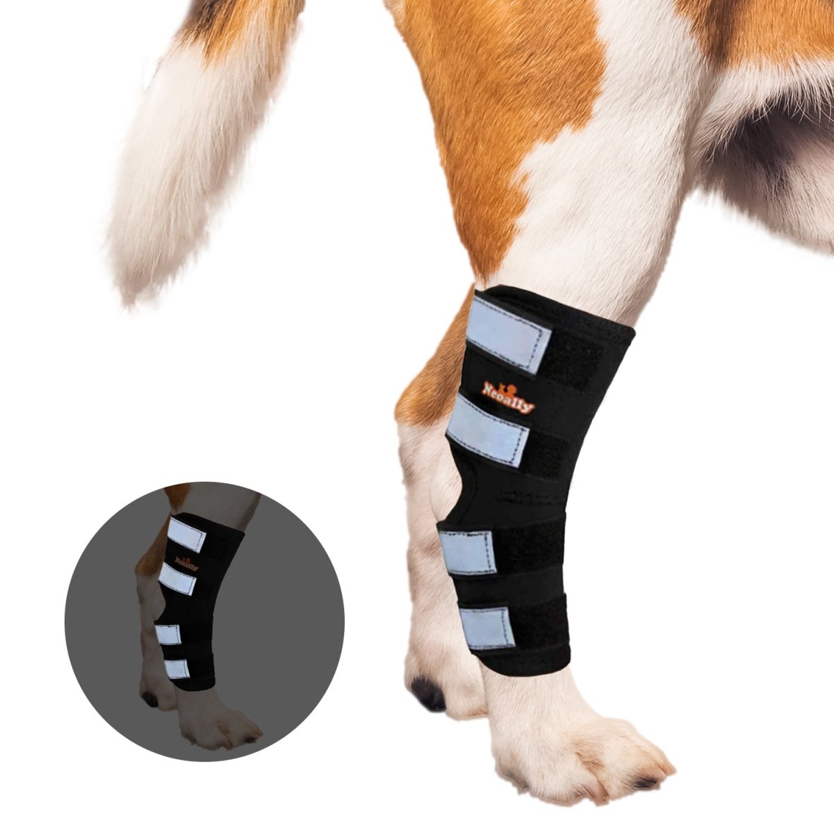Neoally dog leg brace with reflective straps on a dog leg