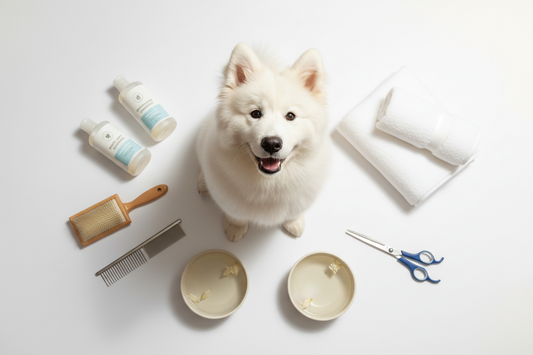 Pet Grooming at Home: Essential Tools Every Pet Parent Should Have 🐾✂️