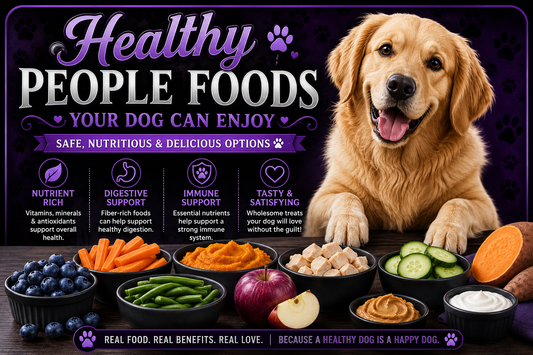 Healthy People Foods for Dogs: Safe Foods & Their Benefits