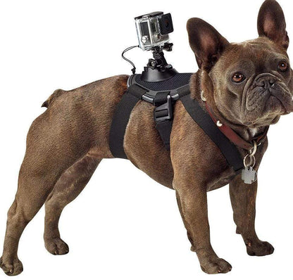 Dog chest strap for GoPro camera