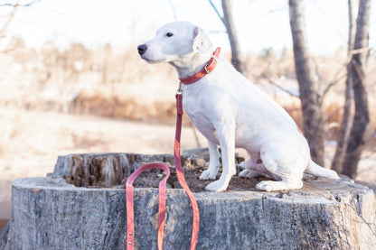 Pro Line Leather Hunting Dog Leash