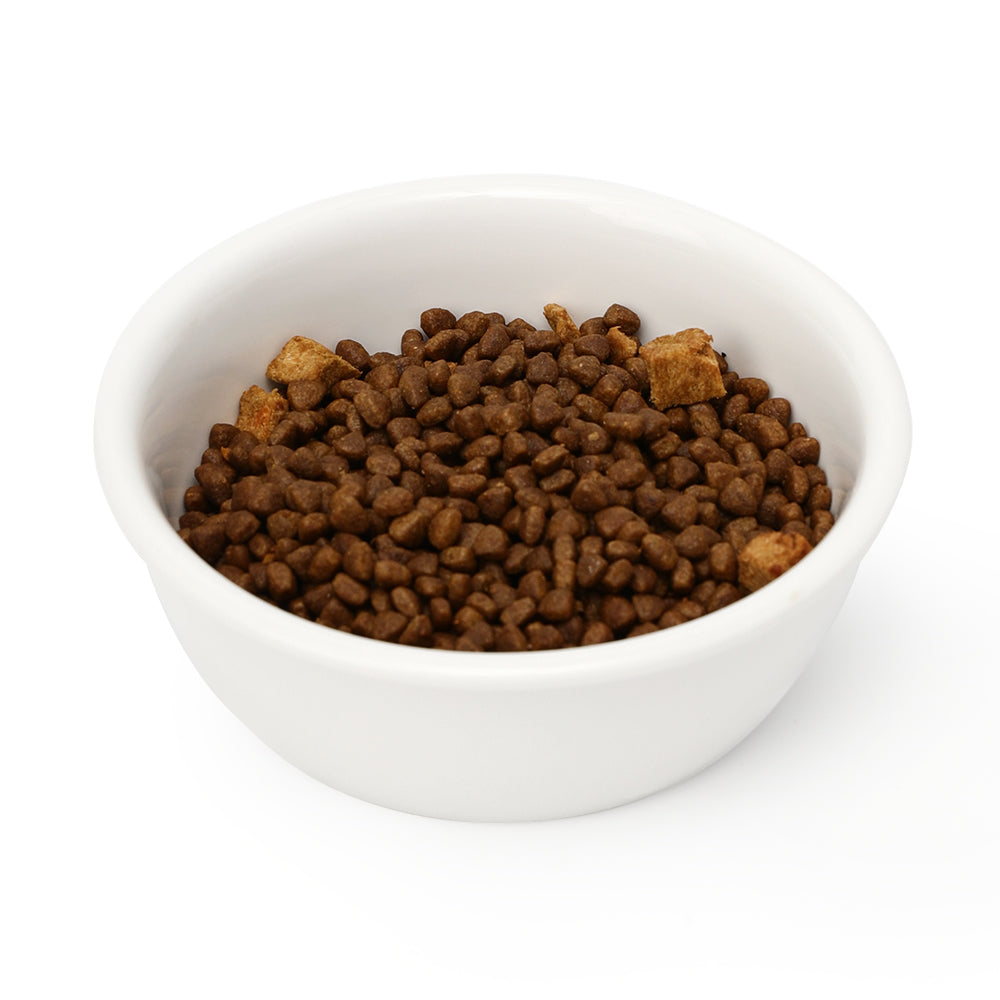 Cat Ceramic Water Bowl, Tall Drinking