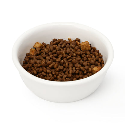 Cat Ceramic Water Bowl, Tall Drinking