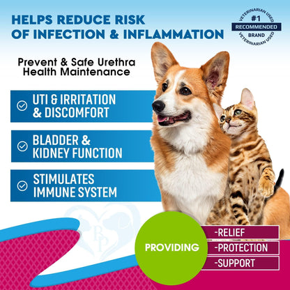 Corgi and cat with text highlighting pet urinary health benefits and veterinarian recommended status
