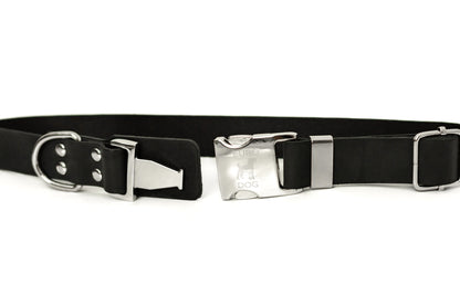 Modern Style Quick-Release Leather Dog Collar