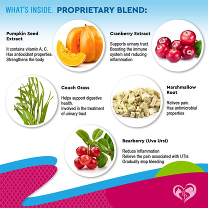 Infographic showing pumpkin seed, cranberry, couch grass, marshmallow root, and bearberry as proprietary blend ingredients