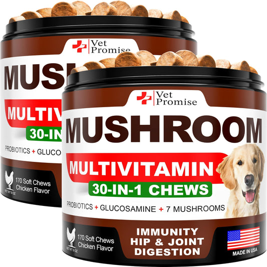 Vet Promise Mushroom Multivitamin 30-in-1 soft chews for dogs in chicken flavor
