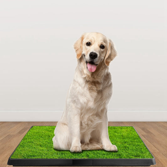 Dog Potty Training Artificial Grass Pad, Pet Cat Toilet Trainer Mat, Puppy Loo Tray Turf For Small Medium Dogs Indoor Outdoor Use