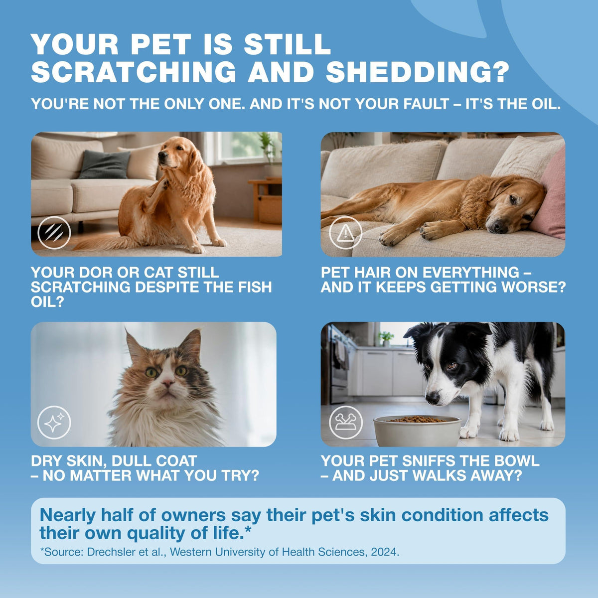 Infographic showing common pet skin and coat issues including scratching shedding dry skin and food refusal