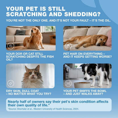 Infographic showing common pet skin and coat issues including scratching shedding dry skin and food refusal