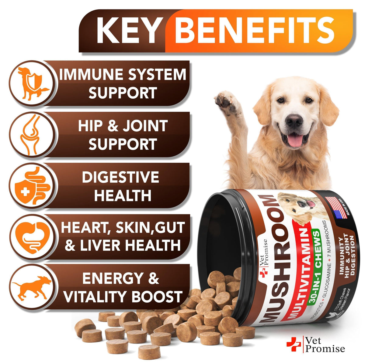 Vet Promise Mushroom Multivitamin chews benefits list including immune hip joint digestive heart skin and energy support