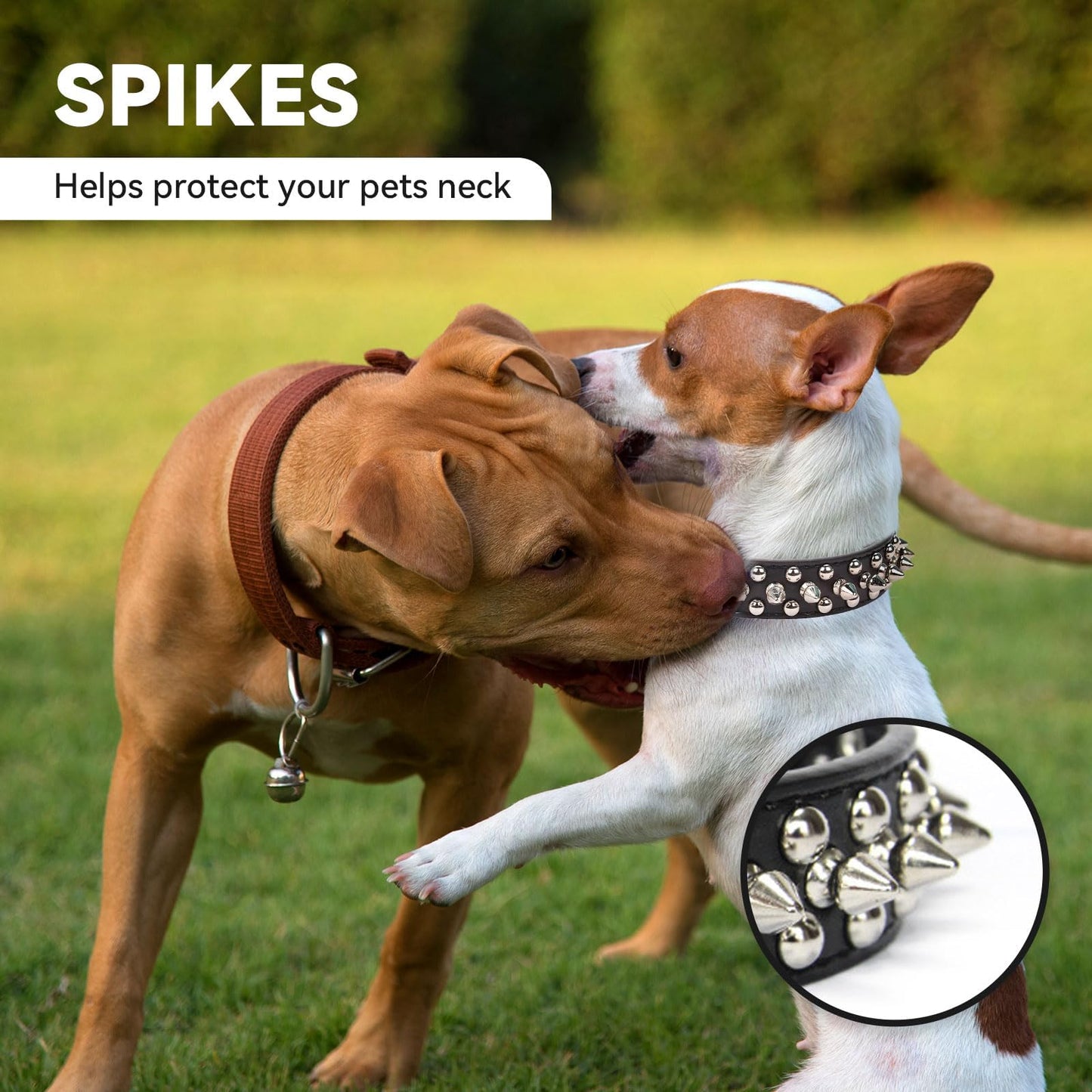 Small Spiked Black Dog, Cat Collar For Small Medium Dogs Boy Male - Adjustable Studded Puppy Collars - Soft Padded Punk Leather Dog Collar For Chihuahua French Bulldog Pug