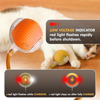 Cat Interactive Ball Toys, Automatic Rolling Ball For Kitten, Rechargeable Smart Pet Electric Toys With Teaser, Sensor Cat Ball Toy