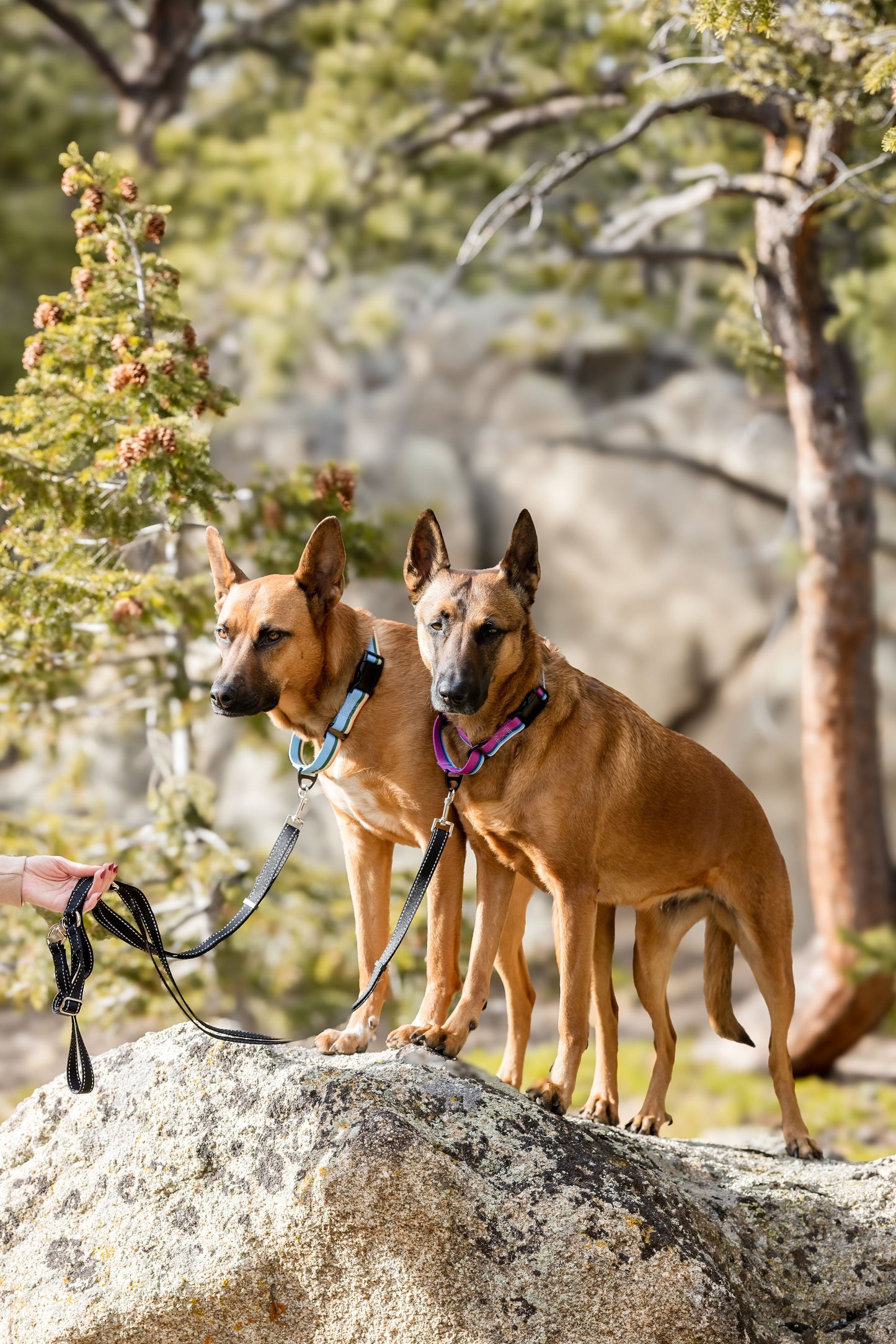 Outdoor Style All Nylon Martingale Collar