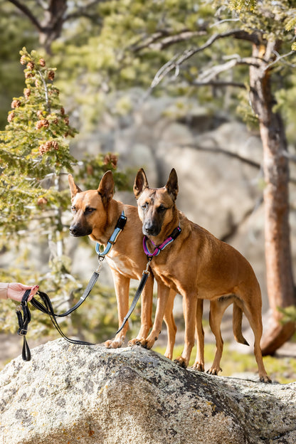Outdoor Style All Nylon Martingale Collar