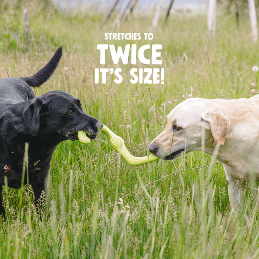 Bumi Dog Toy