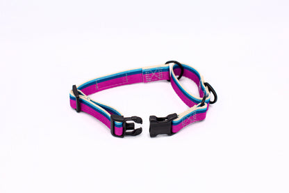 Outdoor Style All Nylon Martingale Collar