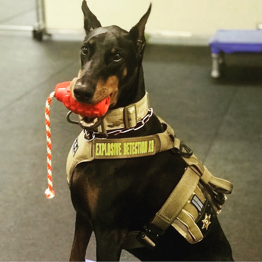 K9 Magnum Grenade Rubber Dog Chew Toy – Heavy-Duty for Extreme Chewers, USA Made