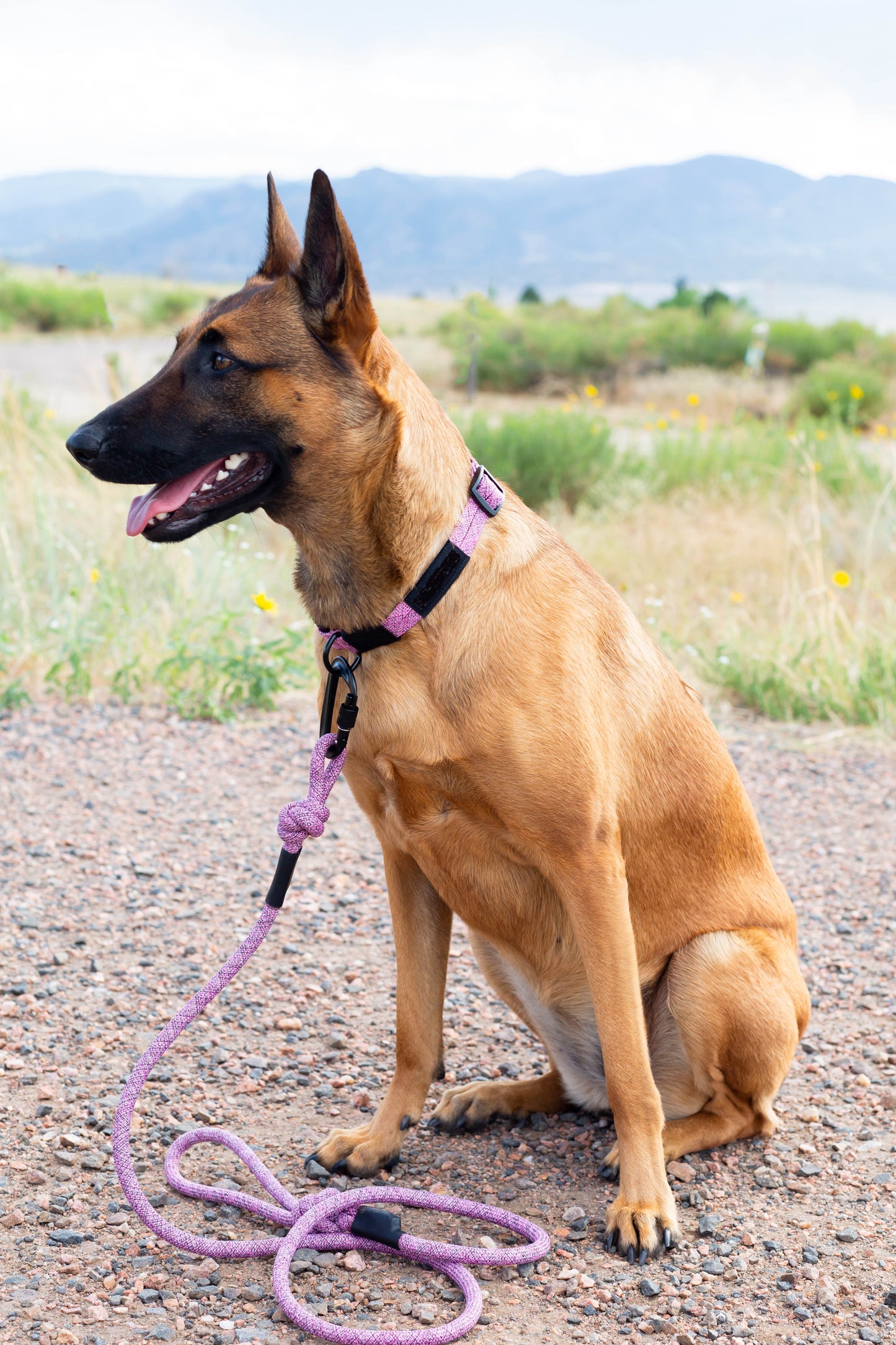 Climbing Rope Dog Leash