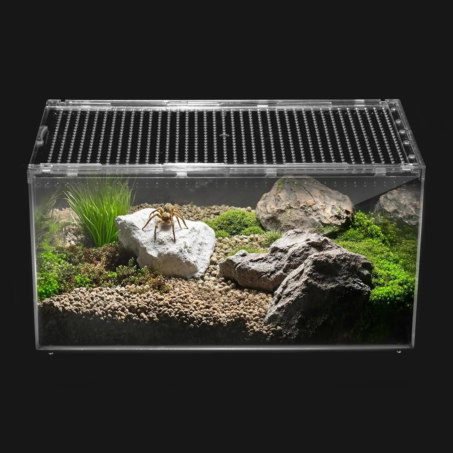Reptile PC Terrarium Starter Kit, Enclosure for Spiders, Geckos & Insects