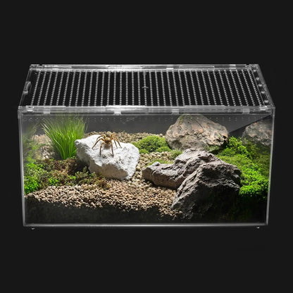 Reptile PC Terrarium Starter Kit, Enclosure for Spiders, Geckos & Insects