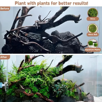 Before and after comparison of an aquarium aquascape with driftwood and rocks before and after adding aquatic plants