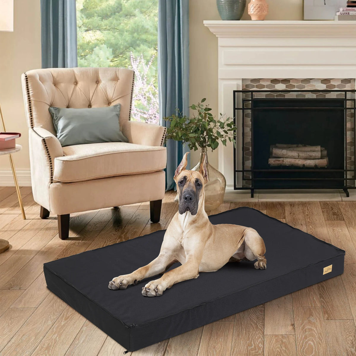 Great Dane lying on a rectangular black dog bed in a living room
