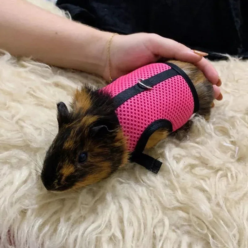 Breathable Mesh Harness & Leash Set for Small Pets – Rabbits, Guinea Pigs, Ferrets & Cats