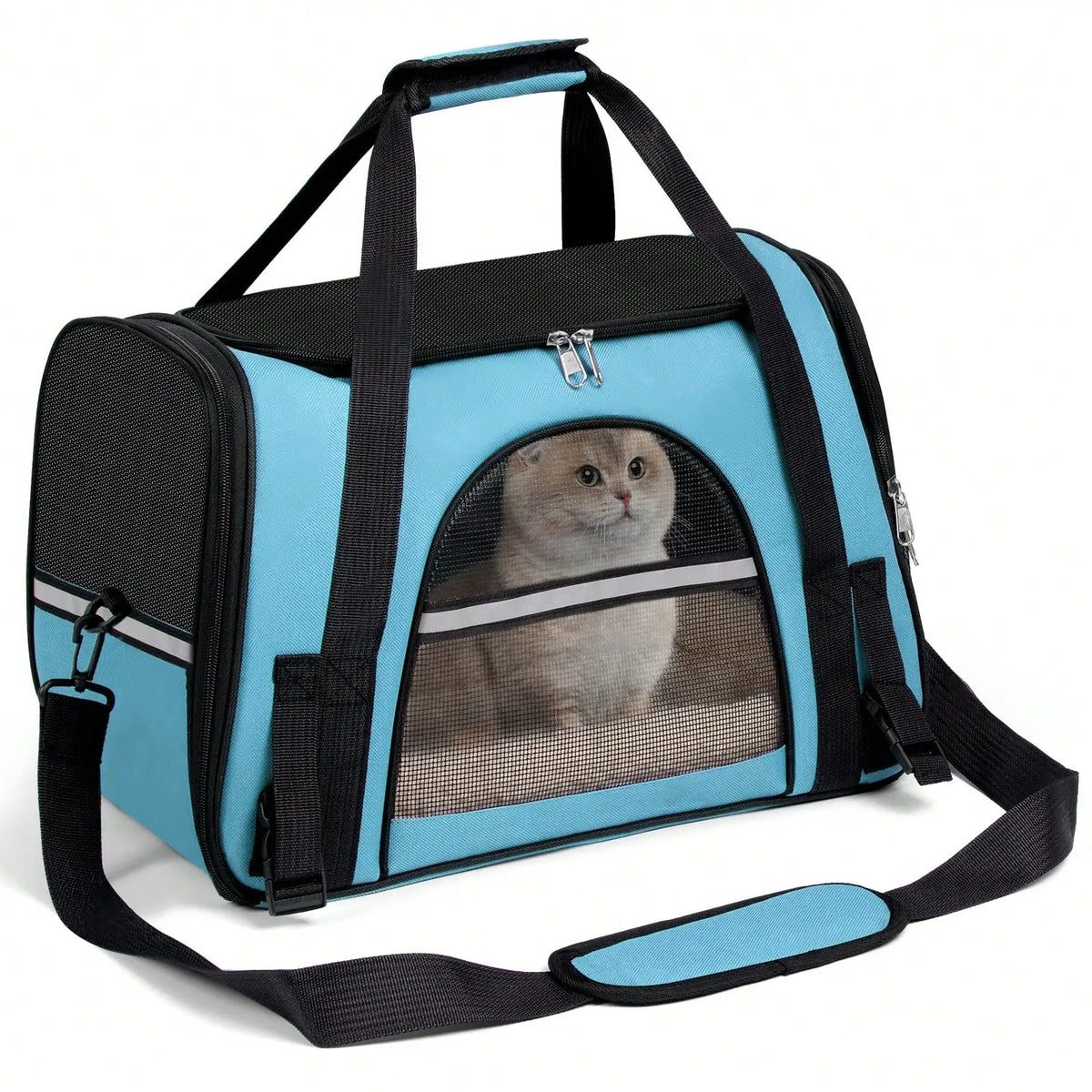 Light blue pet carrier with mesh windows and a cat inside