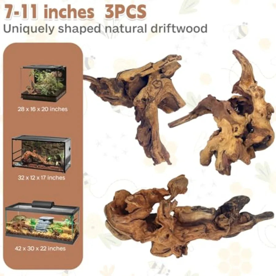 Three pieces of natural driftwood measuring 7 to 11 inches with examples of terrarium sizes