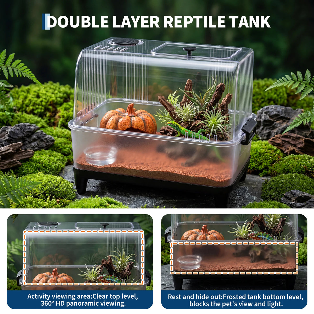 Double layer reptile tank with clear top level and frosted bottom level