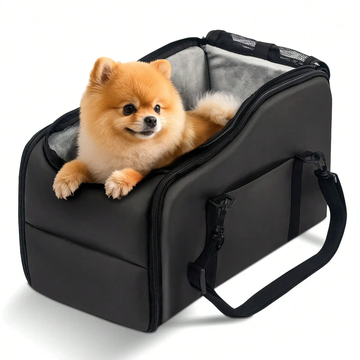 Small tan Pomeranian dog sitting inside a black pet carrier bag