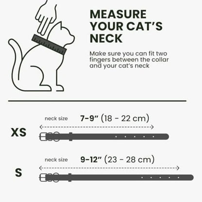 Black & Gold Leather Cat Collar with Removable Bell & QR Tag