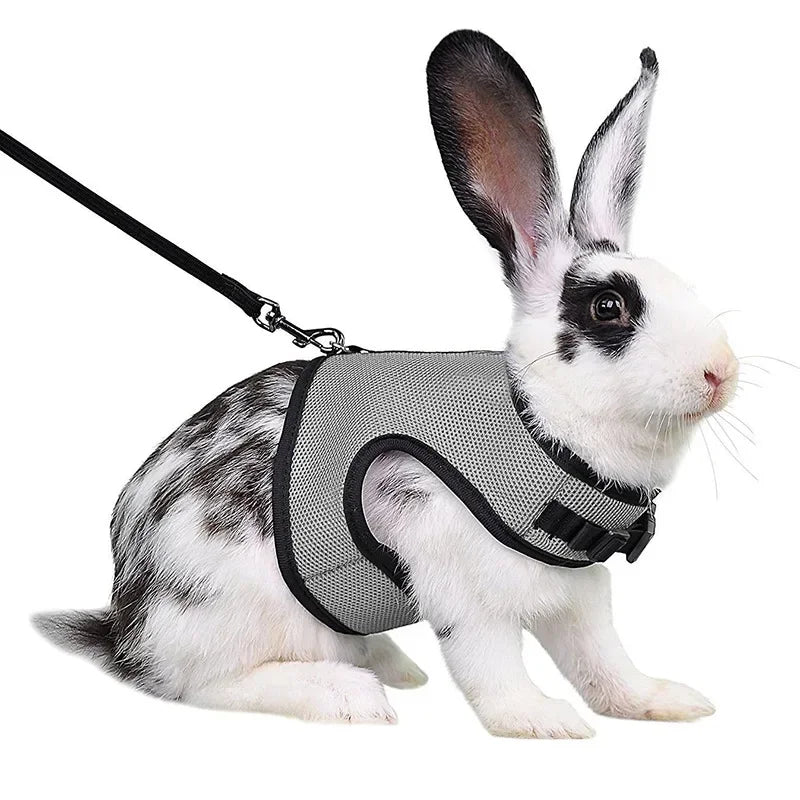 Breathable Mesh Harness & Leash Set for Small Pets – Rabbits, Guinea Pigs, Ferrets & Cats