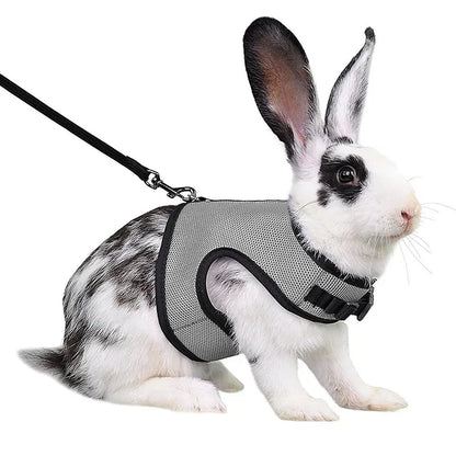 Breathable Mesh Harness & Leash Set for Small Pets – Rabbits, Guinea Pigs, Ferrets & Cats