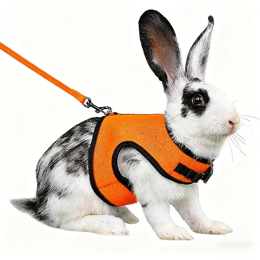 Breathable Mesh Harness & Leash Set for Small Pets – Rabbits, Guinea Pigs, Ferrets & Cats