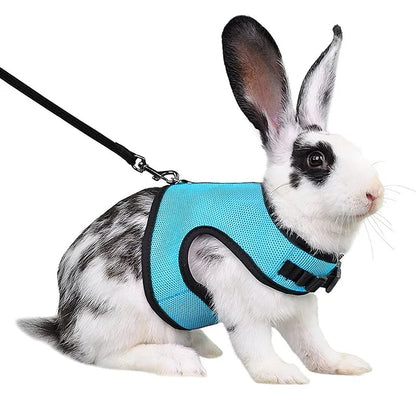 Breathable Mesh Harness & Leash Set for Small Pets – Rabbits, Guinea Pigs, Ferrets & Cats