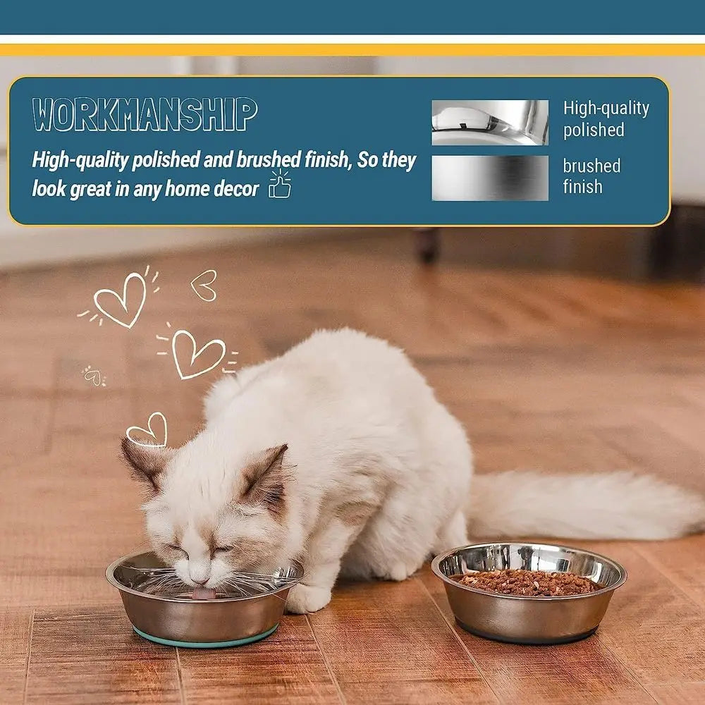 Cat eating from a stainless steel bowl with polished and brushed finish