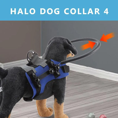 Adjustable Blind Dog Safety Halo – Lightweight Collision Protection Guide for Visually Impaired Dogs