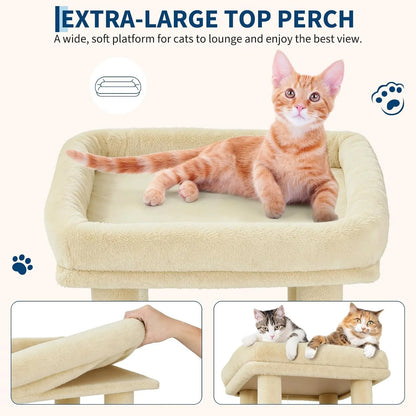 Orange tabby cat resting on a plush extra large cat tree top perch