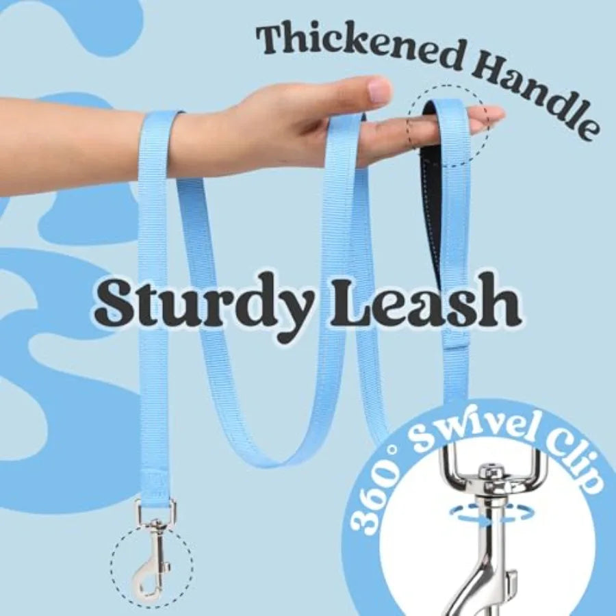 Light blue dog leash featuring a thickened handle and a 360 degree swivel metal clip