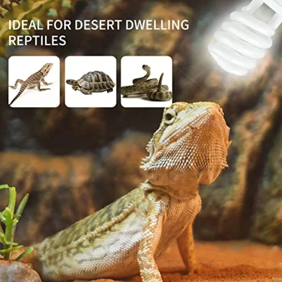 Bearded dragon under a reptile heat lamp with icons of a lizard turtle and snake