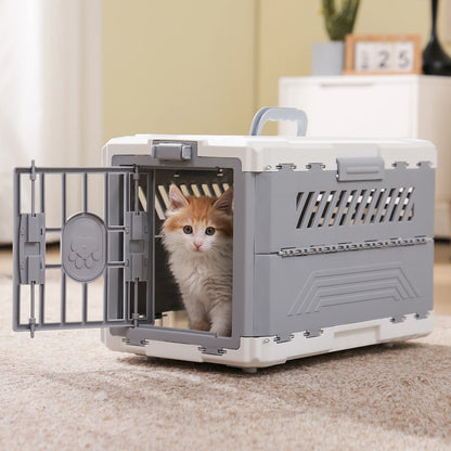 Fluffy orange and white kitten sitting inside a grey and white plastic pet carrier with the door open