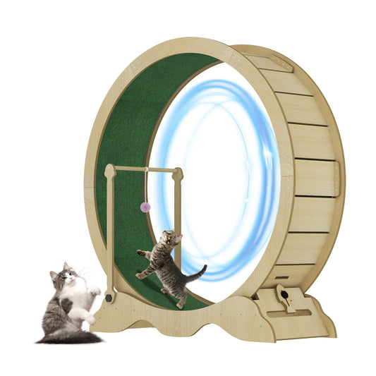Quiet Indoor Cat Exercise Wheel – 43 Inch Cat Treadmill with Removable Carpet Running Surface