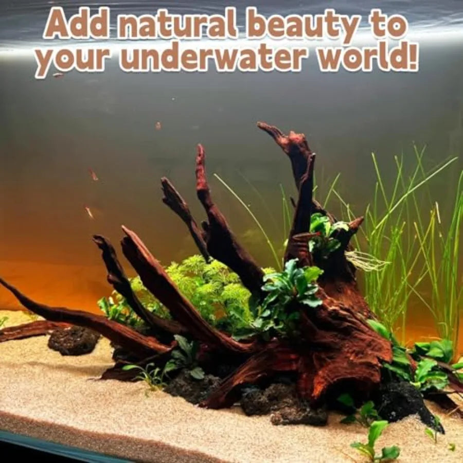 Aquarium driftwood centerpiece with aquatic plants and sand substrate