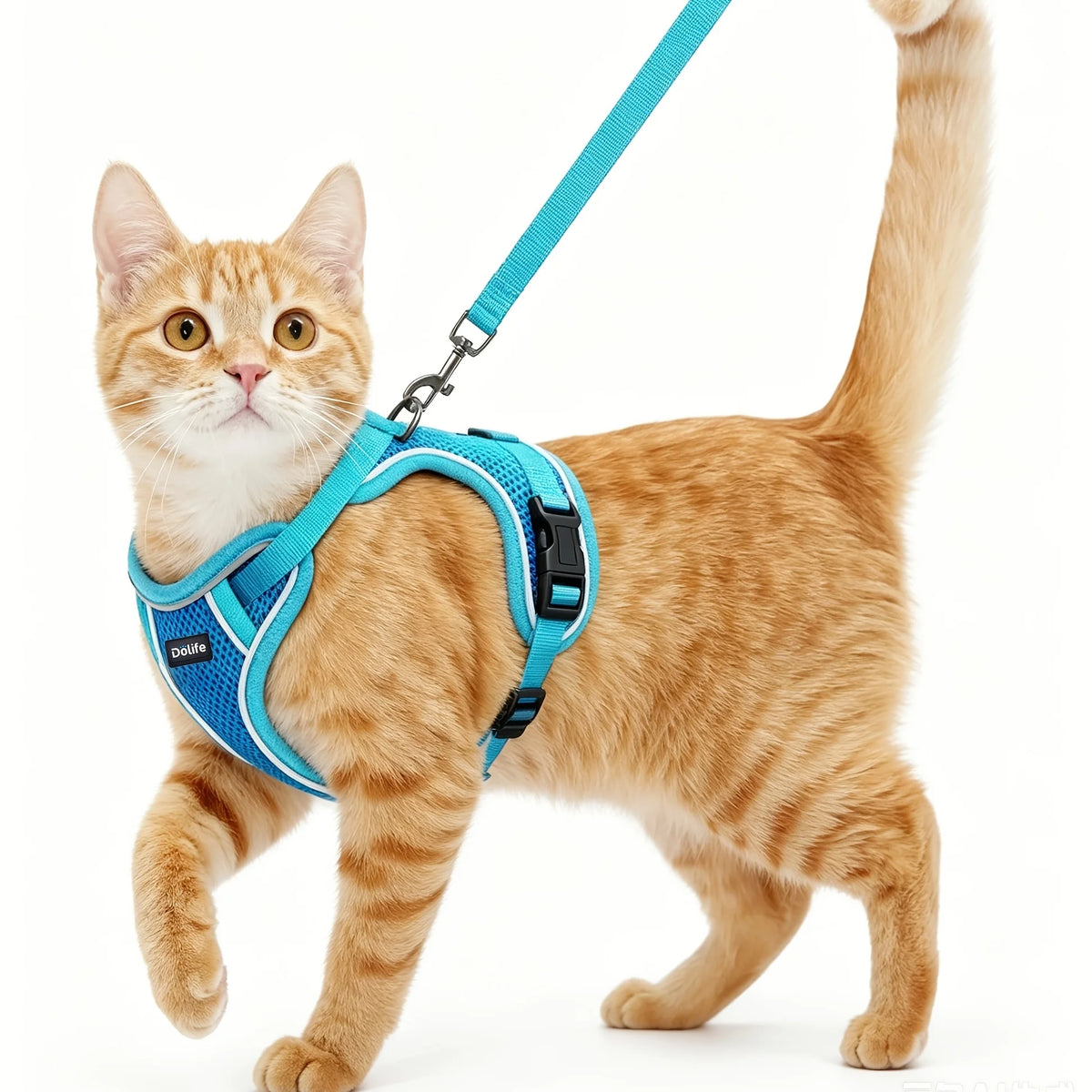 Anti-Escape Cat Harness & Leash Set – Soft Adjustable Vest for Walking & Travel